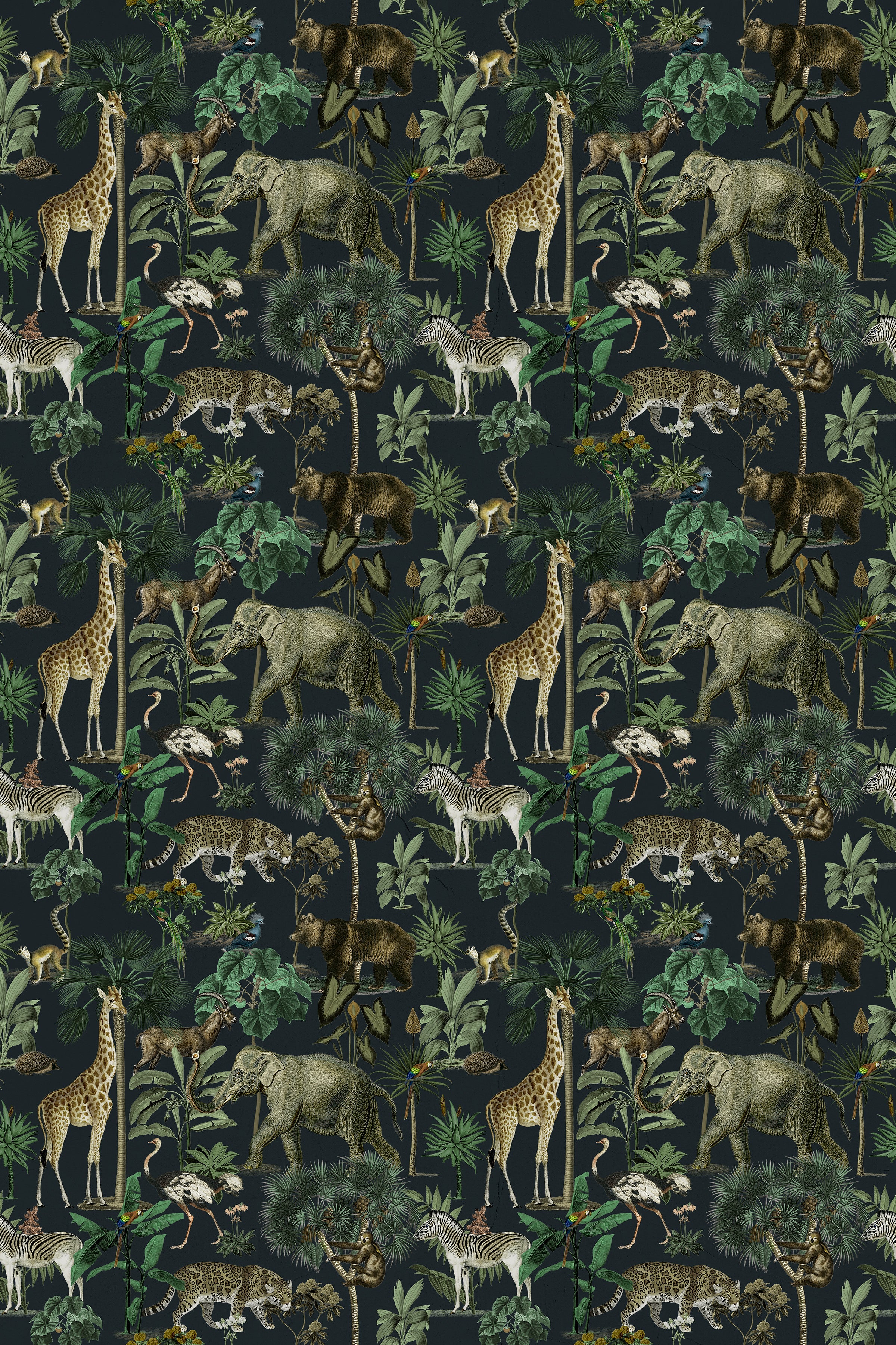 Lush Fauna / Charcoal