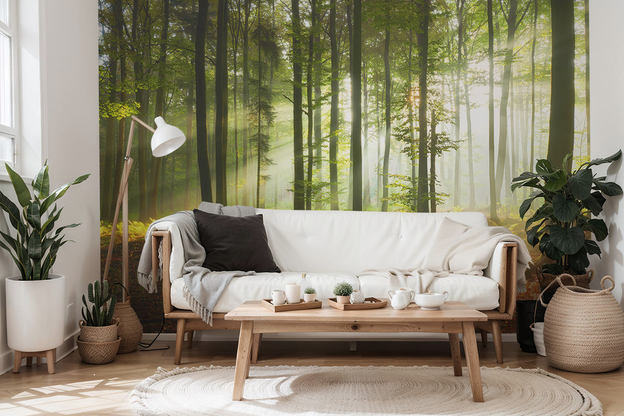 Morning sun Wall Mural