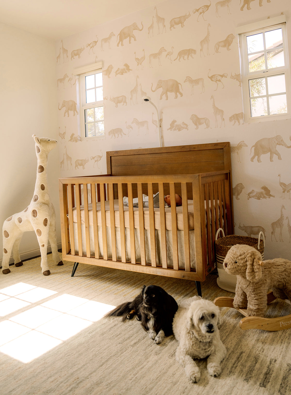 Customer Wall Mural Design Inspiration | Eazywallz