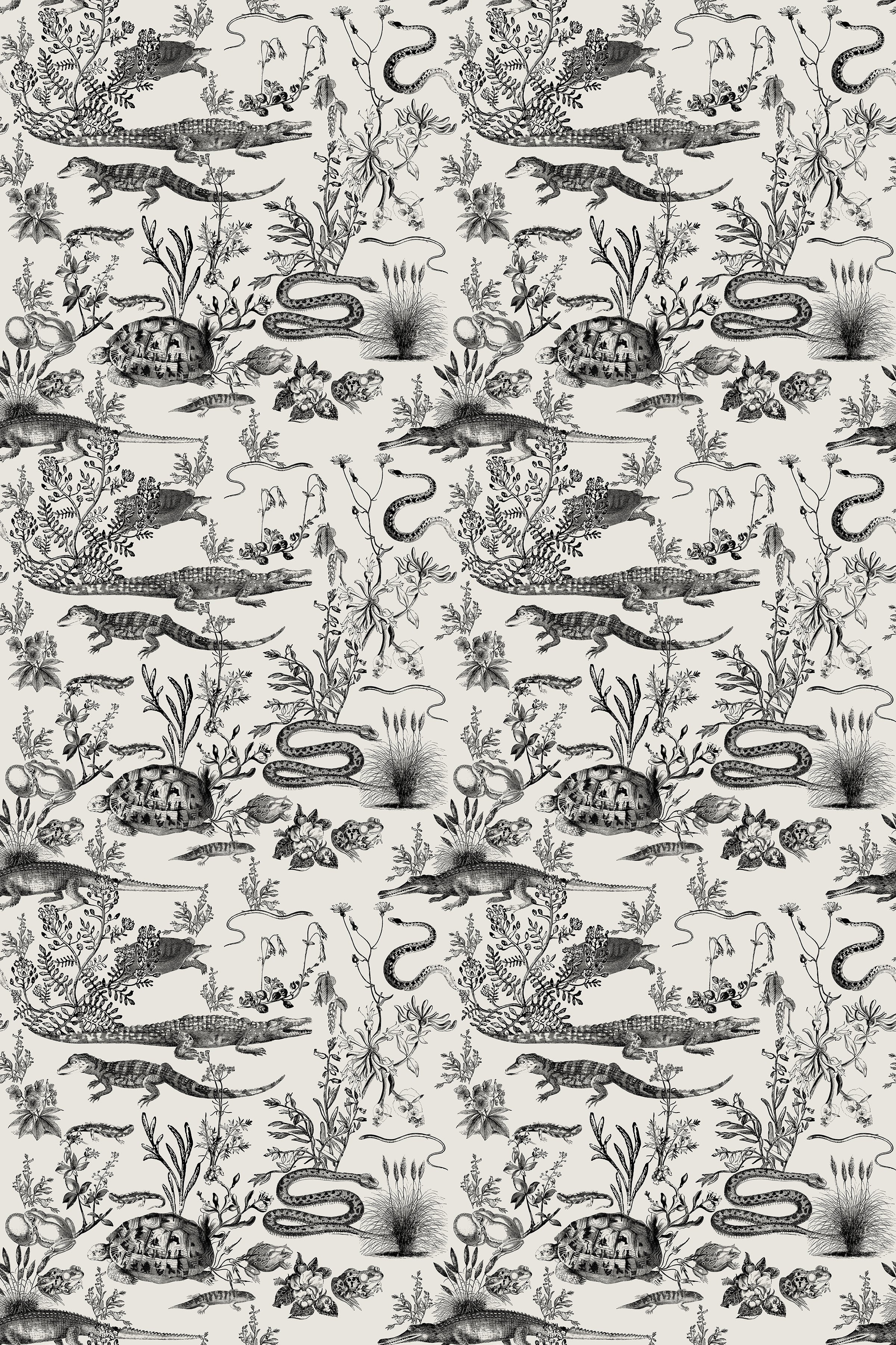 New Orleans Light / Black