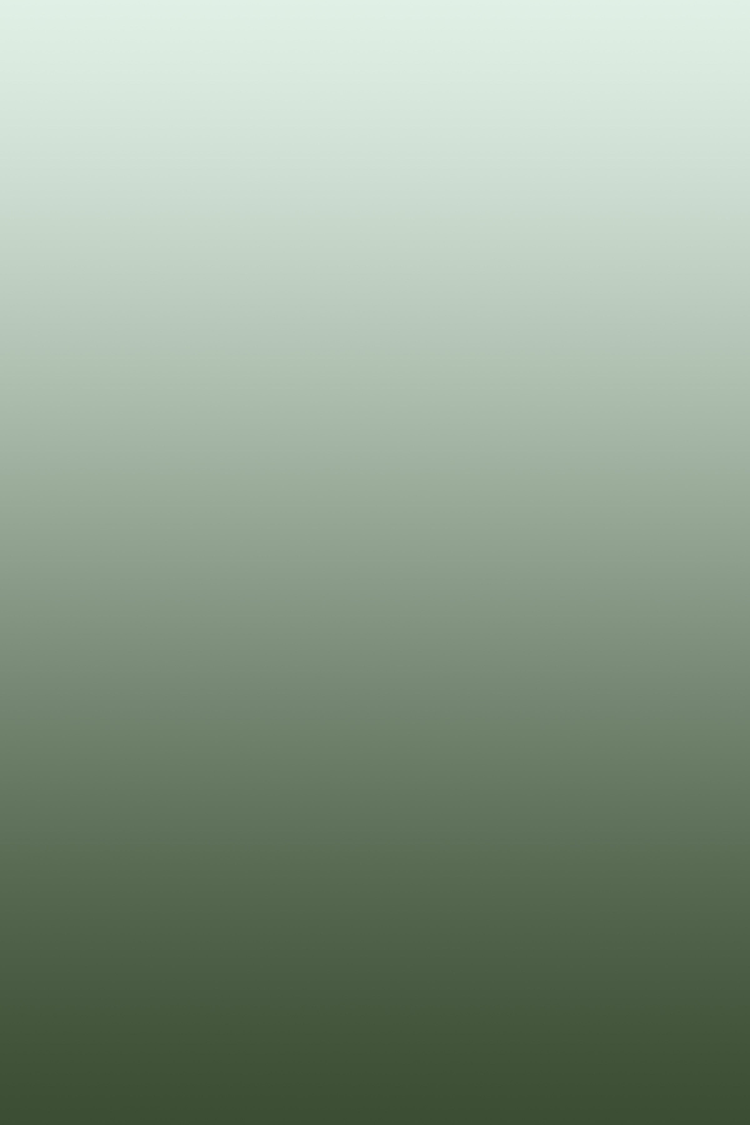 Detail of Olive Odyssey Wallpaper