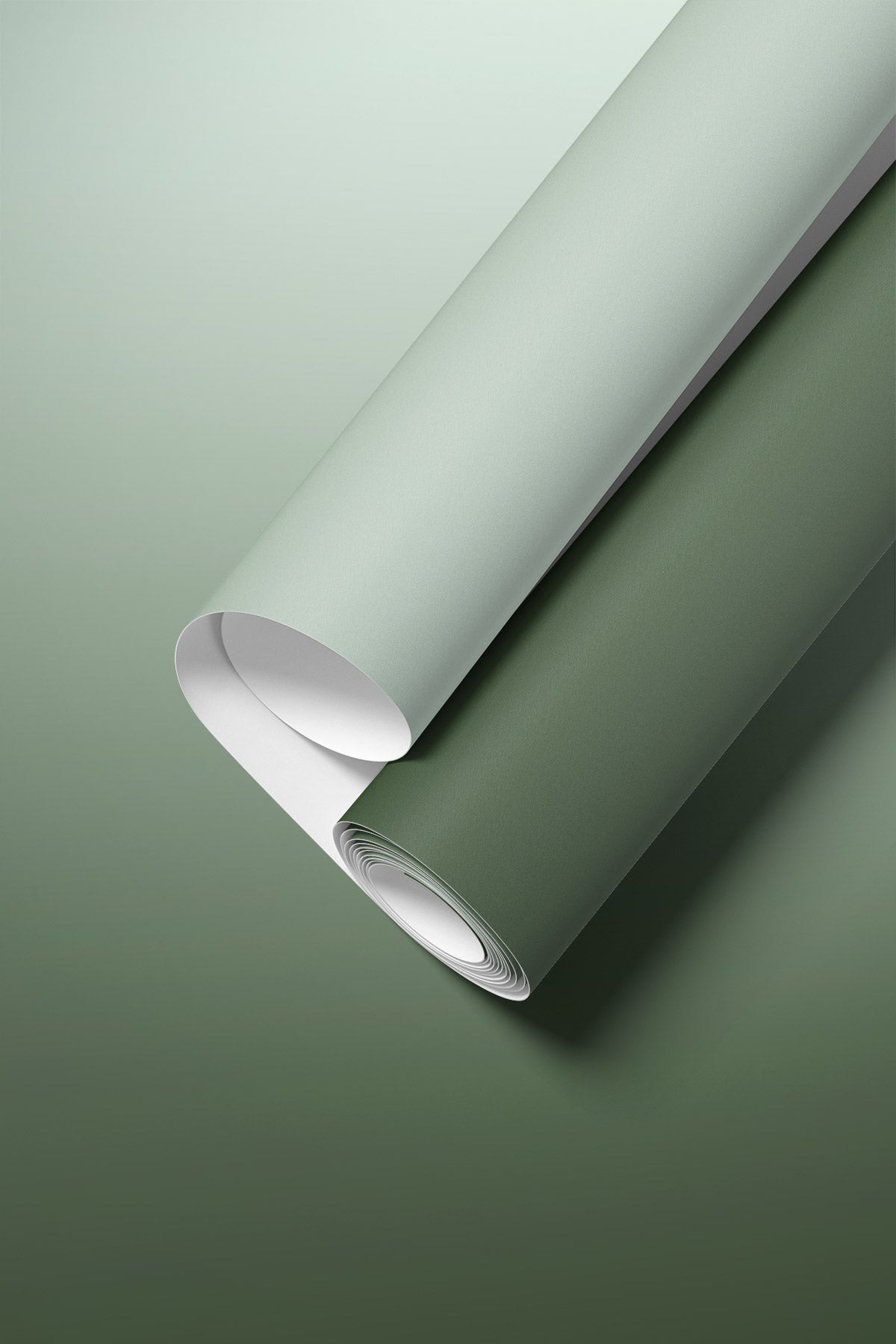 Closeup of Olive Odyssey Wallpaper