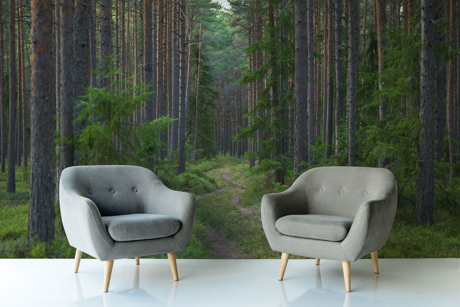 Enchanted Forest Pathway Wall Mural