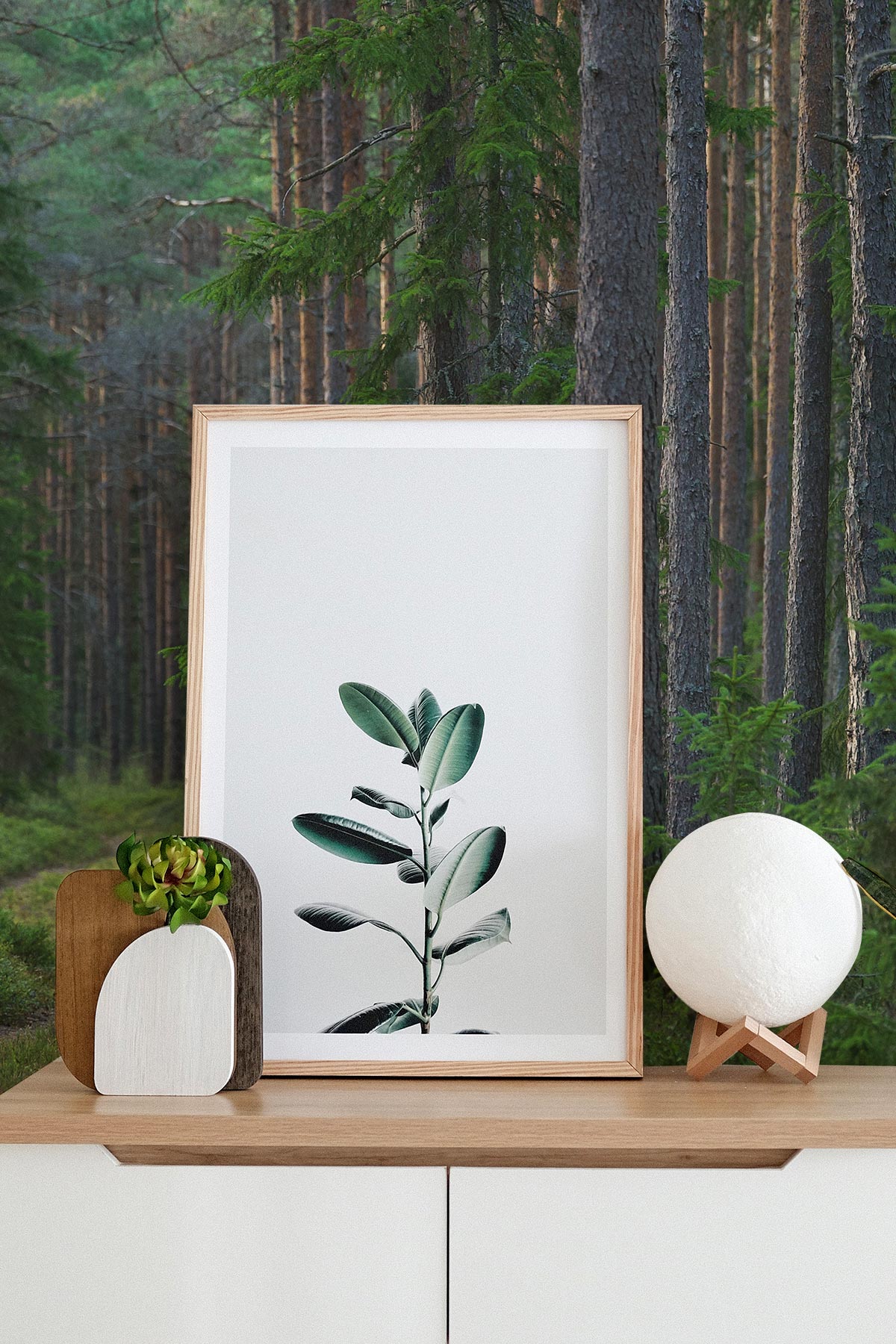 Enchanted Forest Pathway