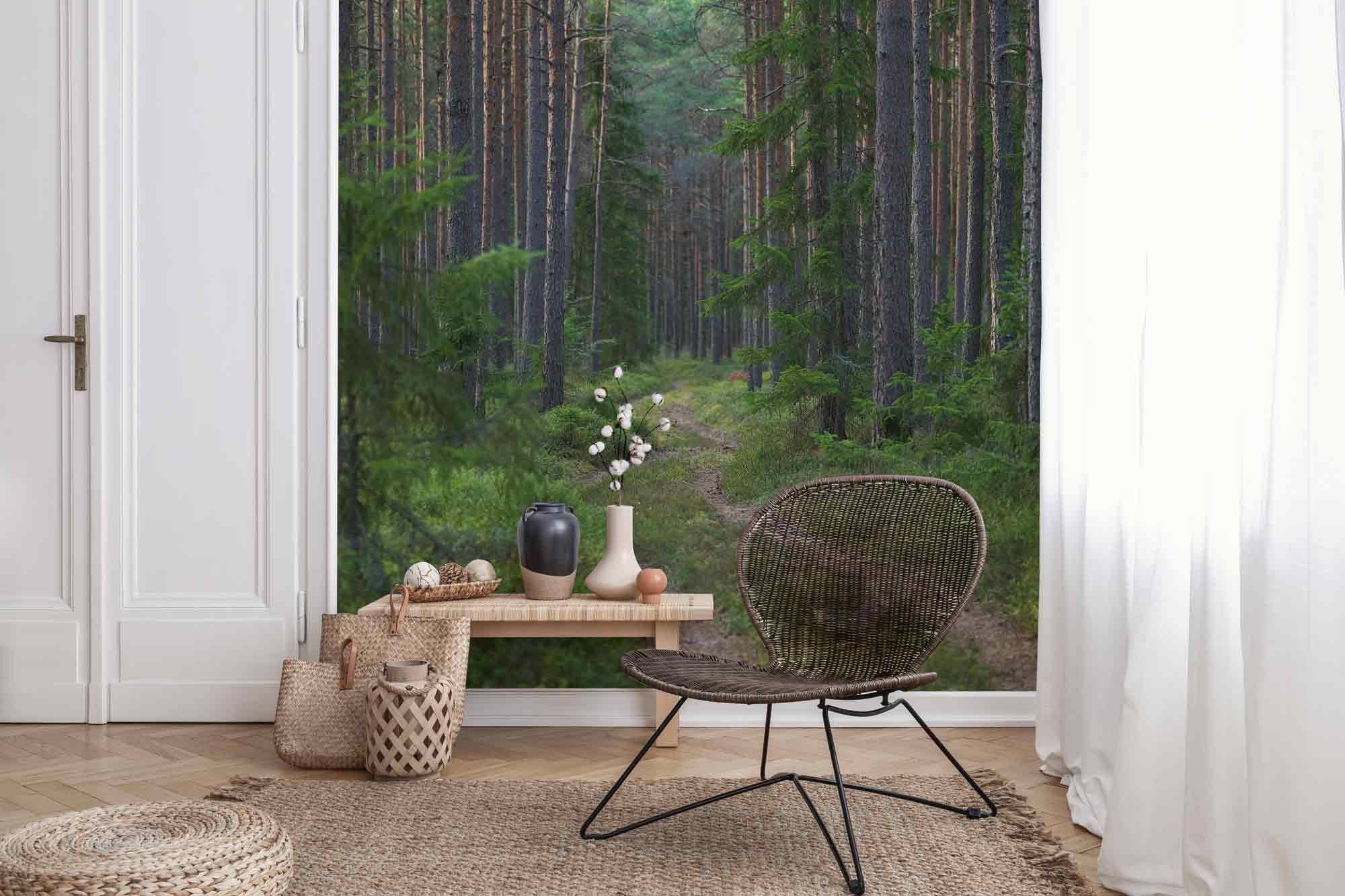 Enchanted Forest Pathway