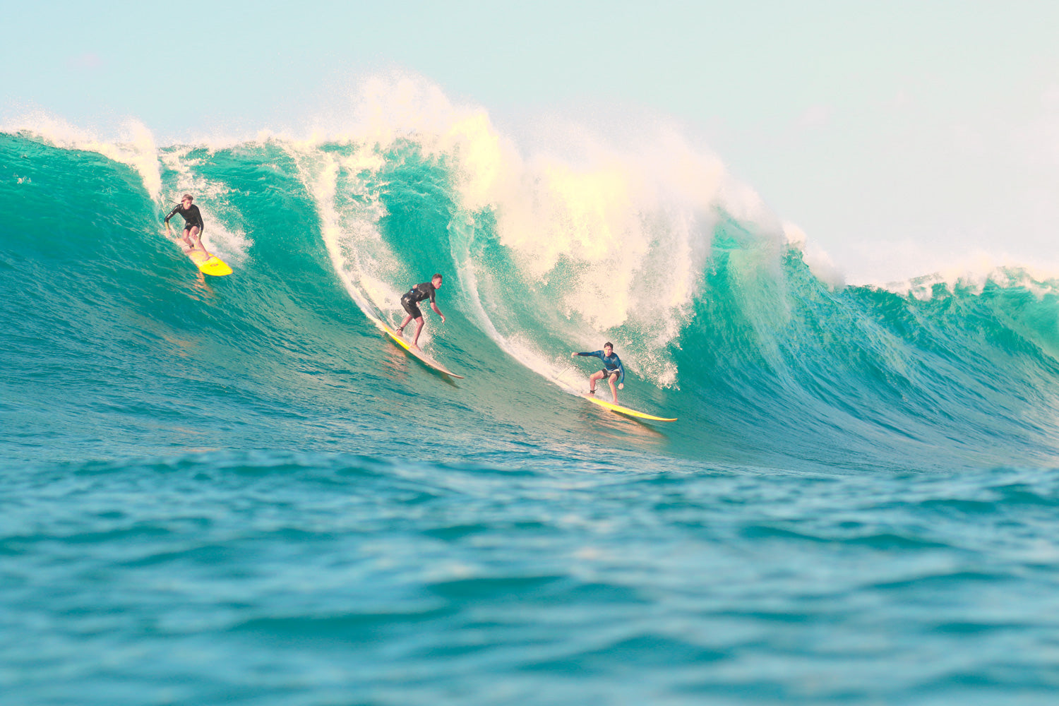 Surfer's Paradise Wall Mural - Surf Wallpaper Mural - Eazywallz