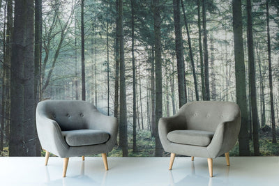 Ethereal Mist Forest Wall Mural
