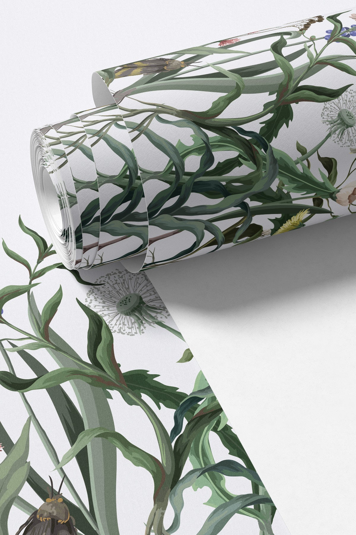 Wild Flowers Botanical