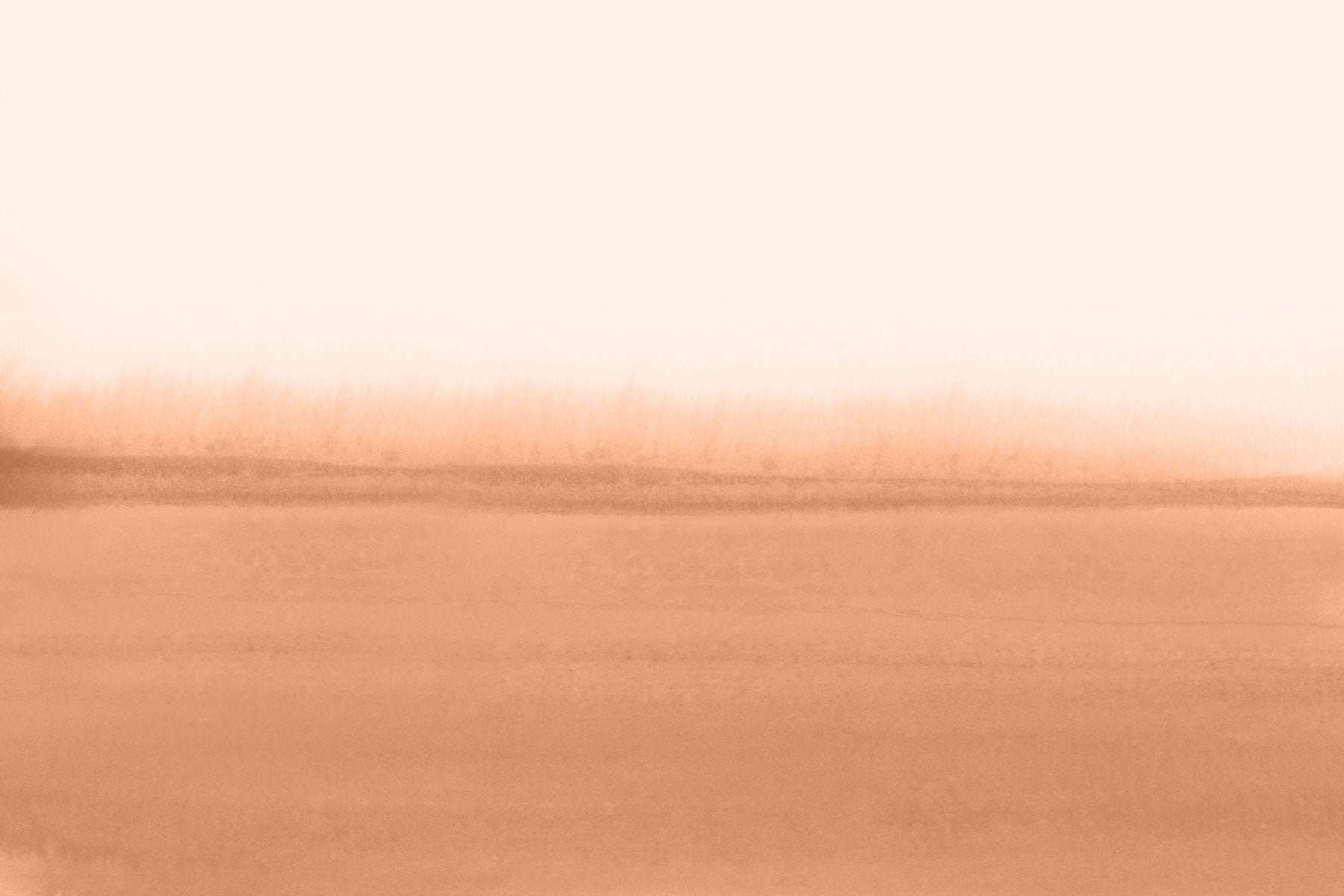 Peach Fuzz Color Block Wall Mural