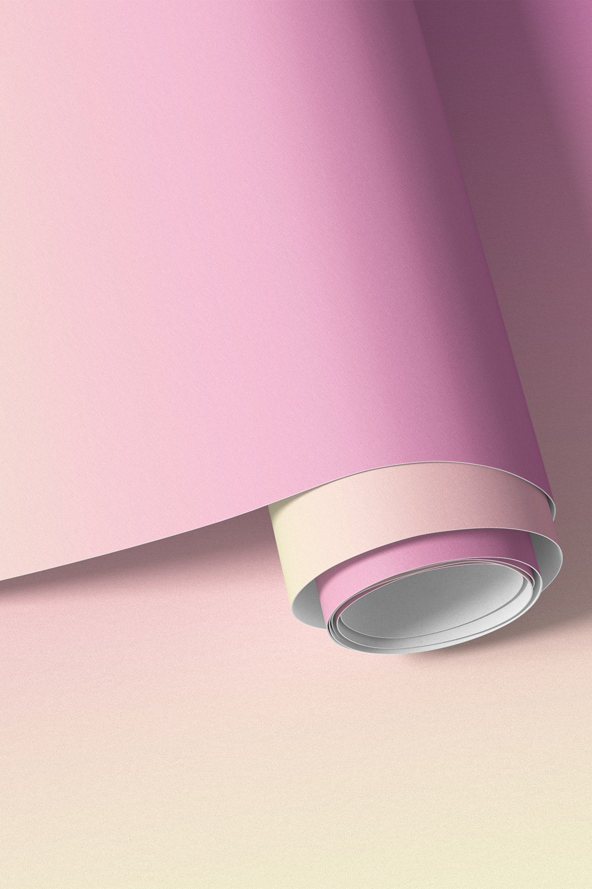 Closeup of Pink Pearl Wallpaper