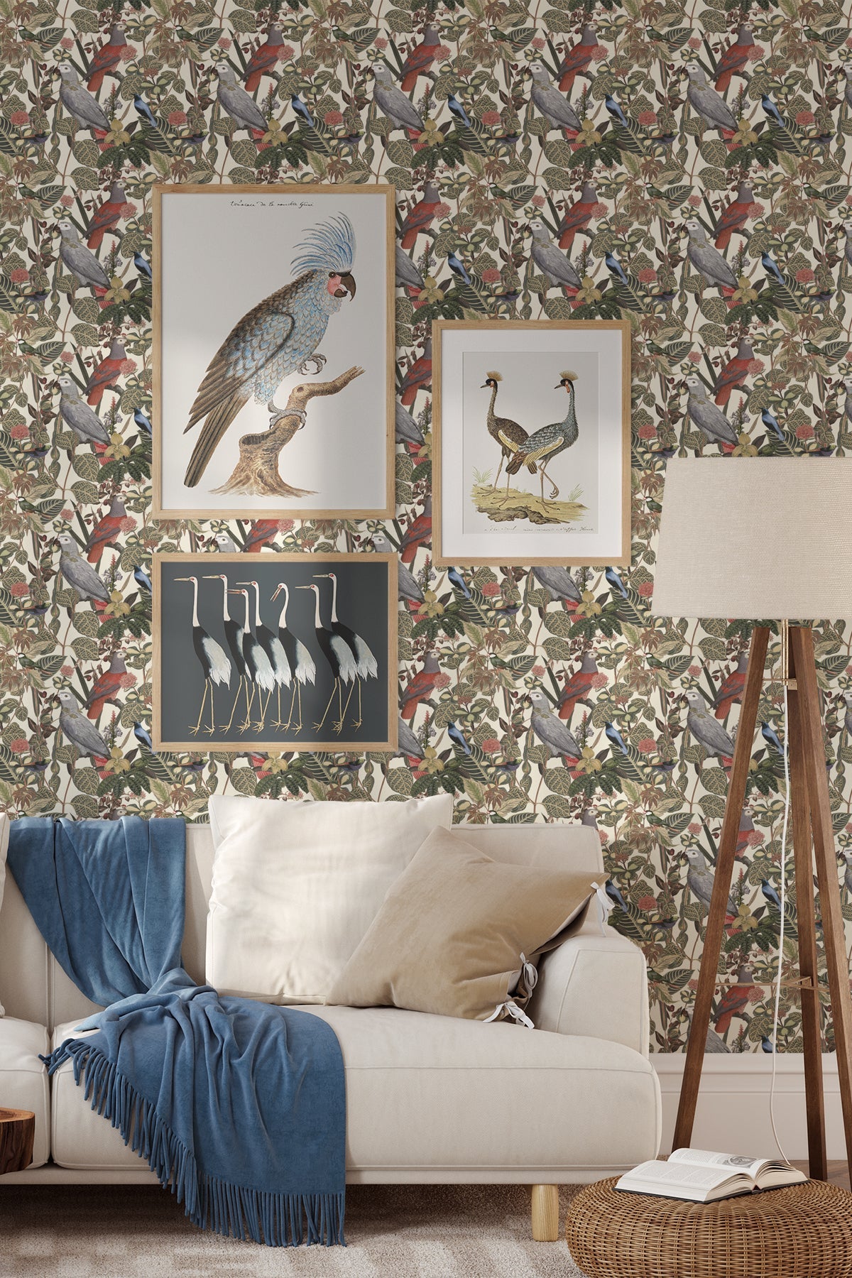 Rainforest of Congo / Cream