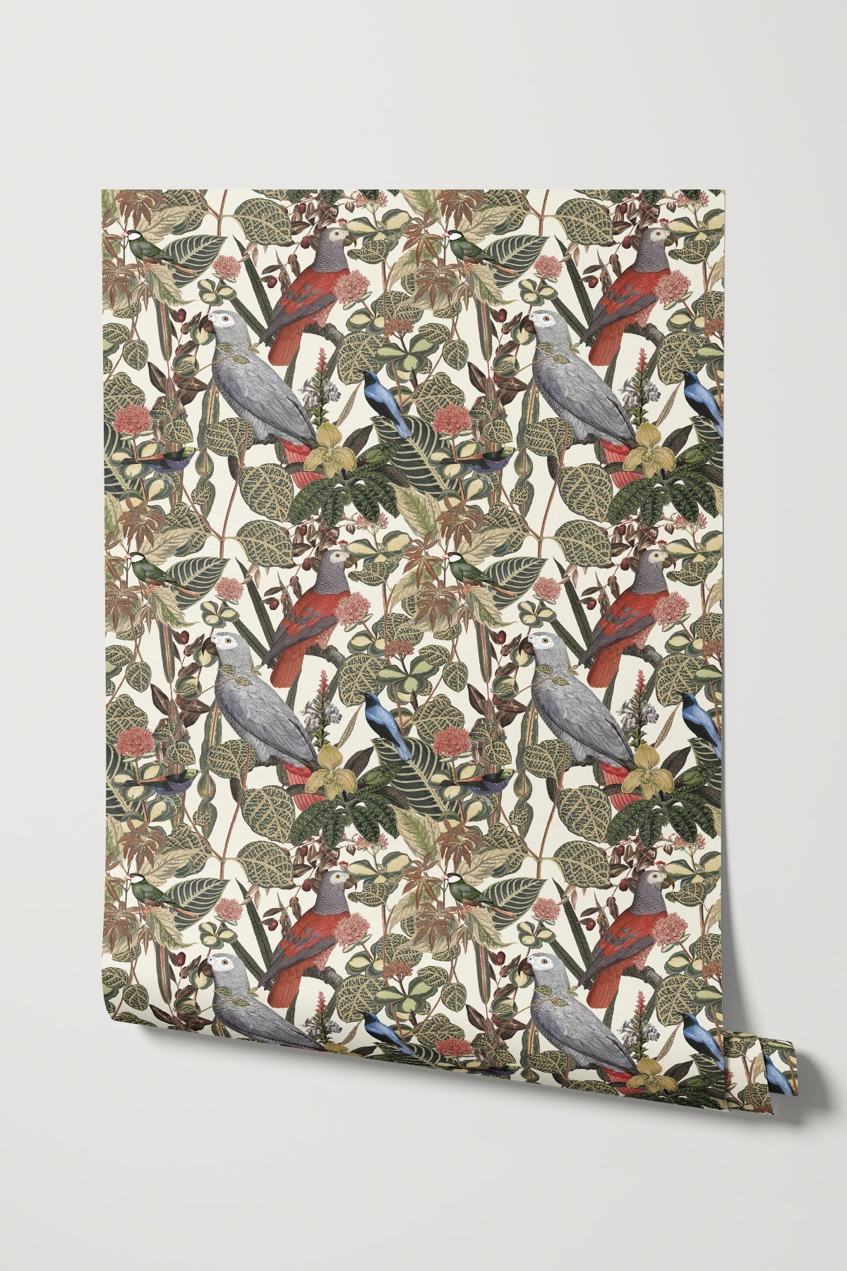 Rainforest of Congo / Cream