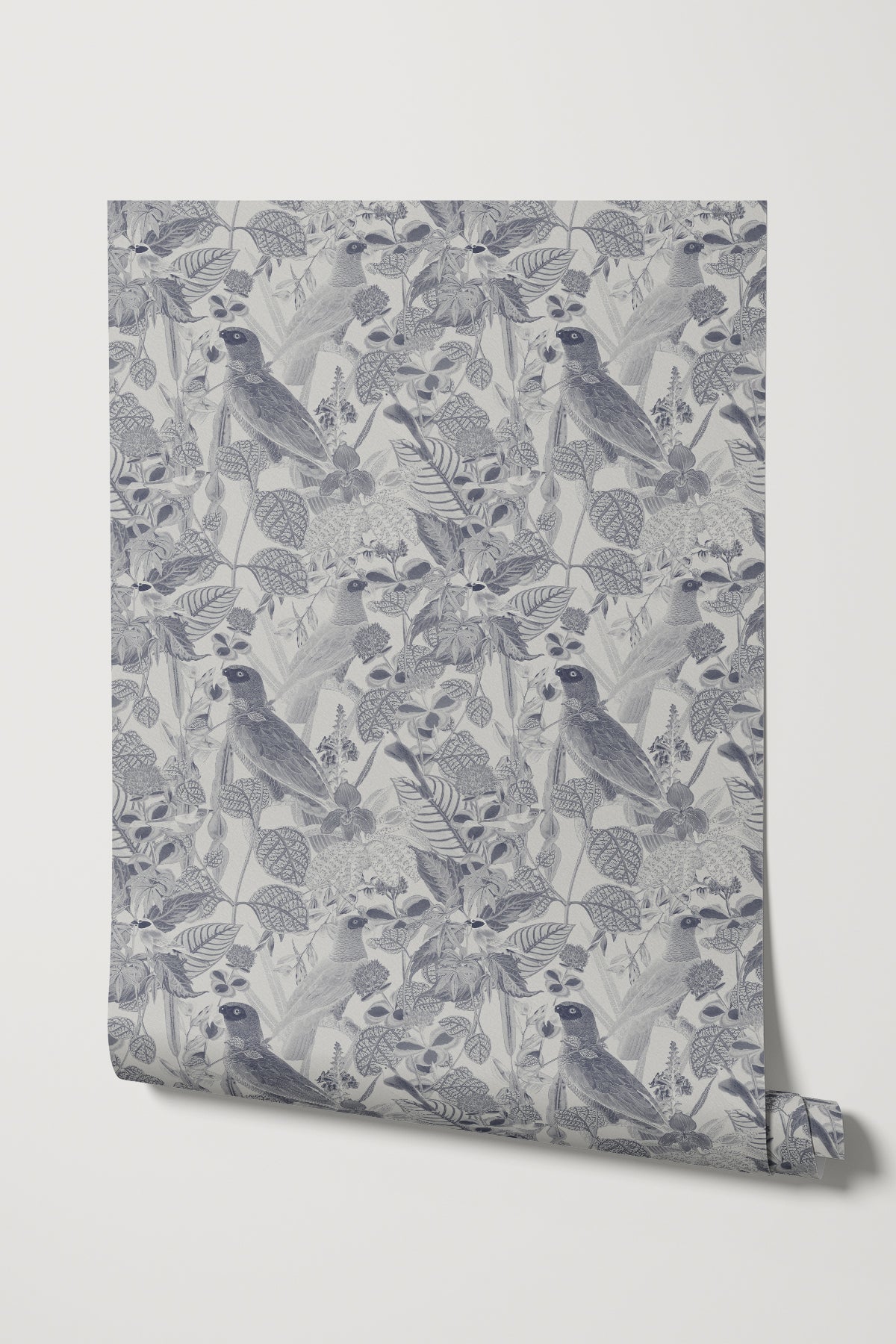 Rainforest of Congo / Gray