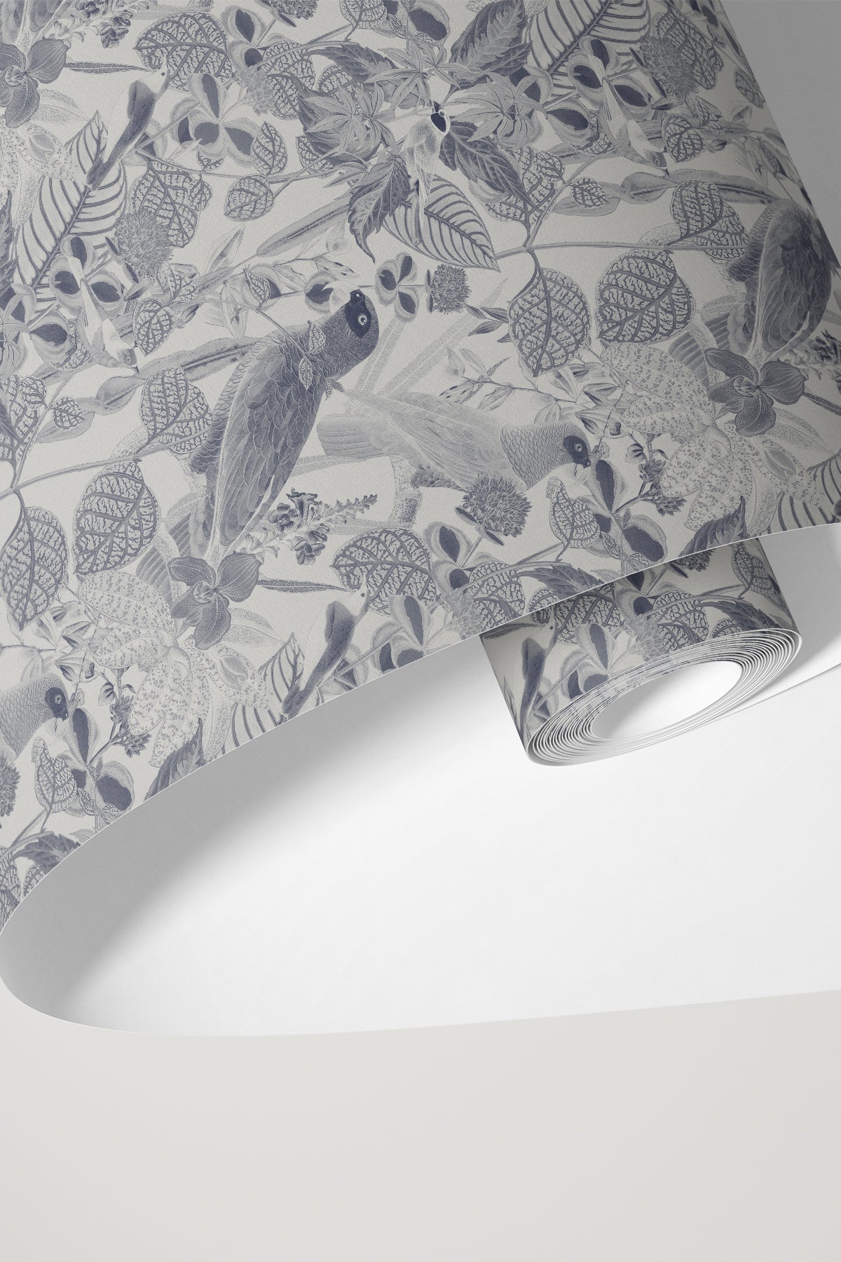 Rainforest of Congo / Gray