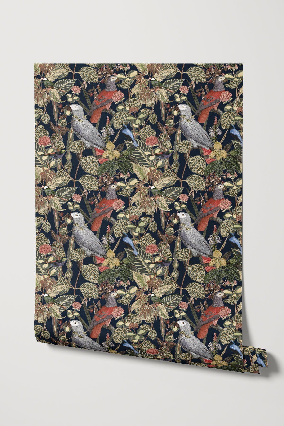 Rainforest of Congo / Navy