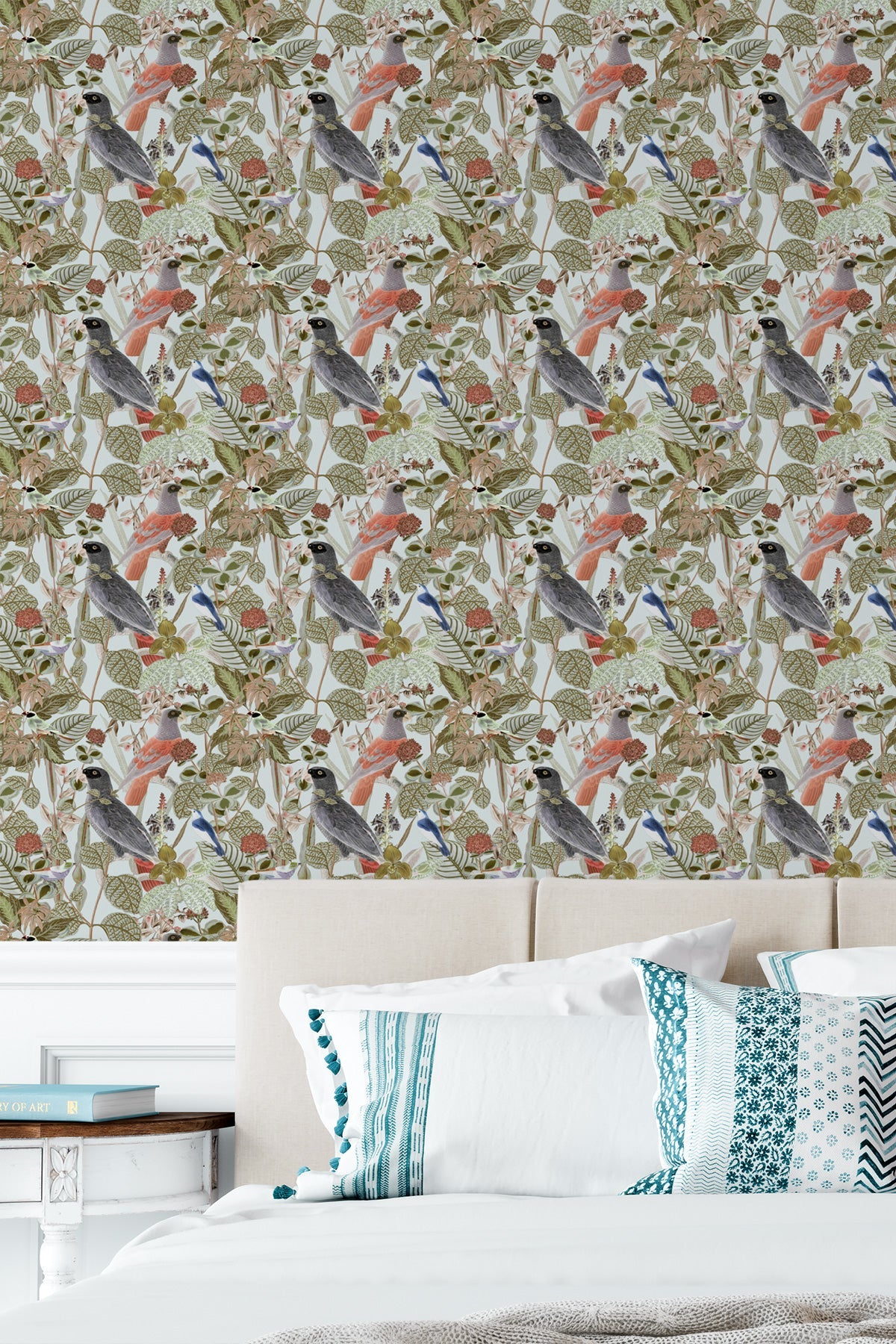 Rainforest of Congo / Sage