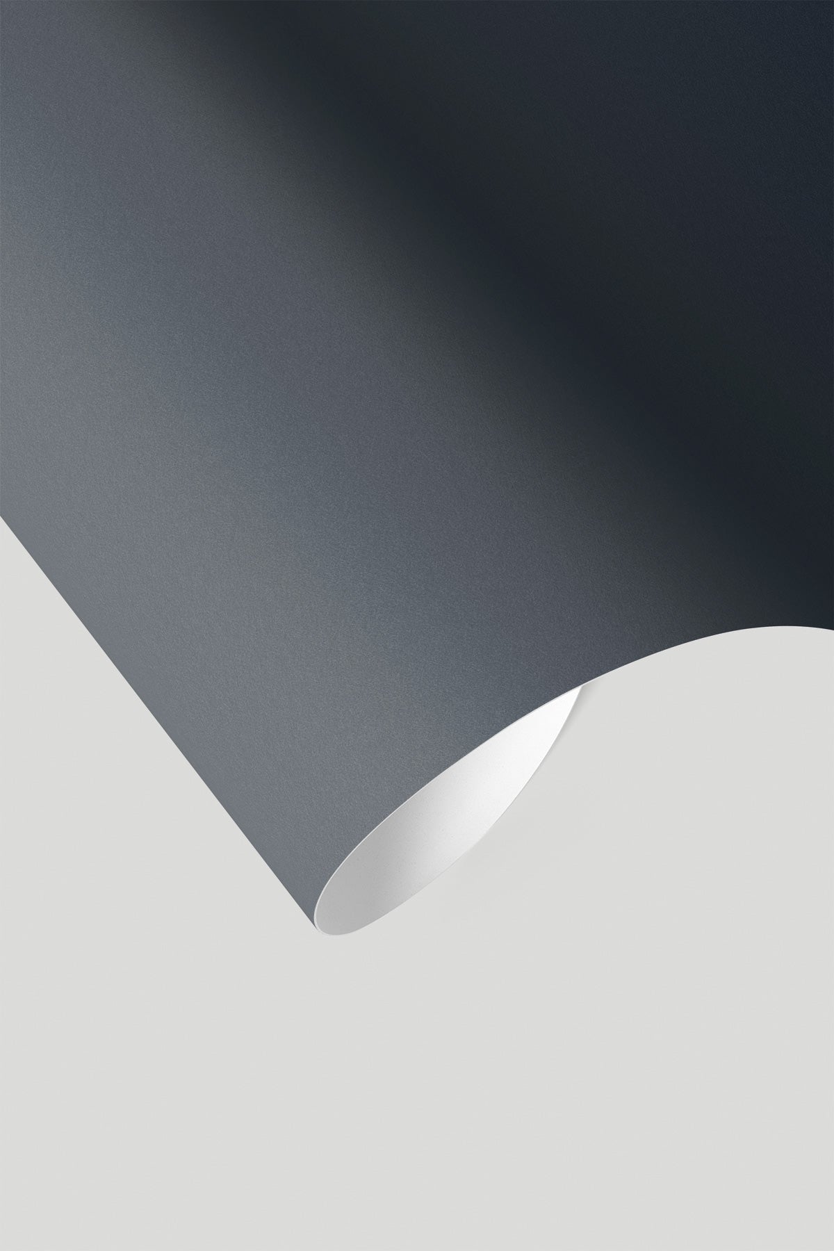 Closeup of Raven's Wing wallpaper