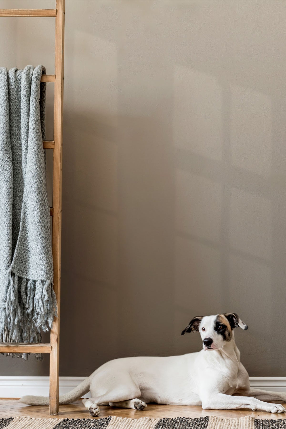 Sepia Symphony Wallpaper in a room