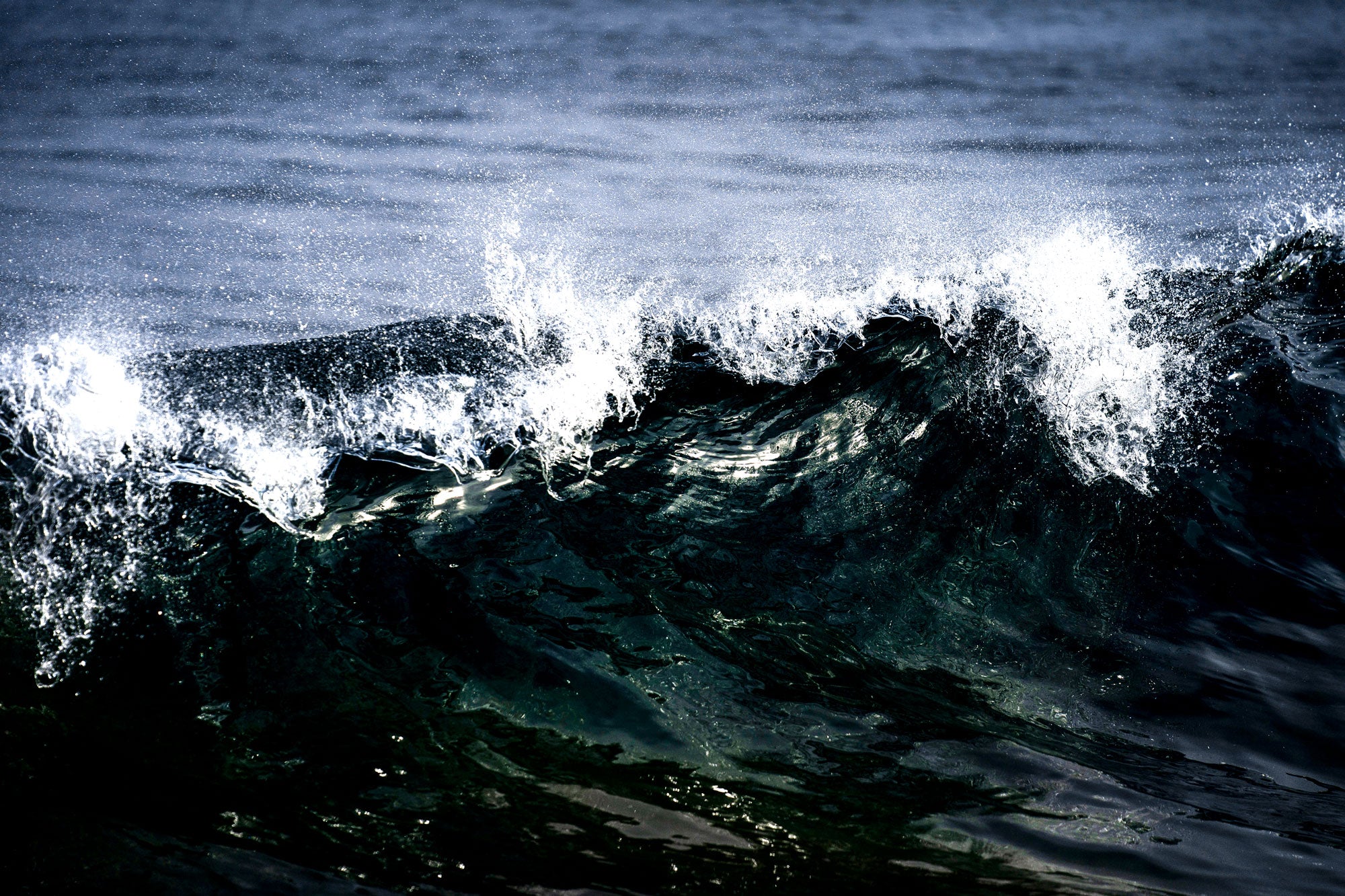 Stormy Wave Close up Wall Mural