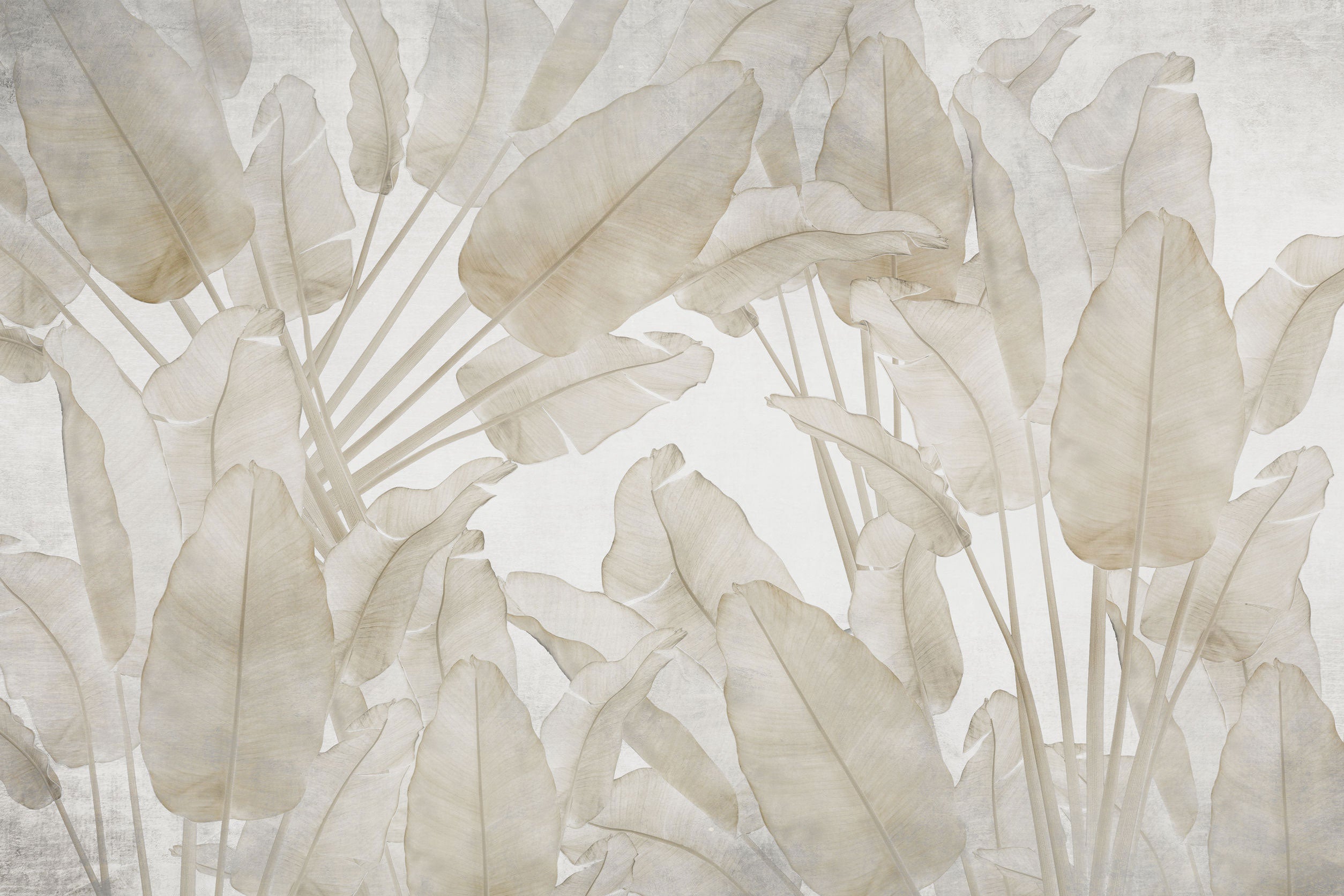 Tan Tropical Serenity Wall Mural