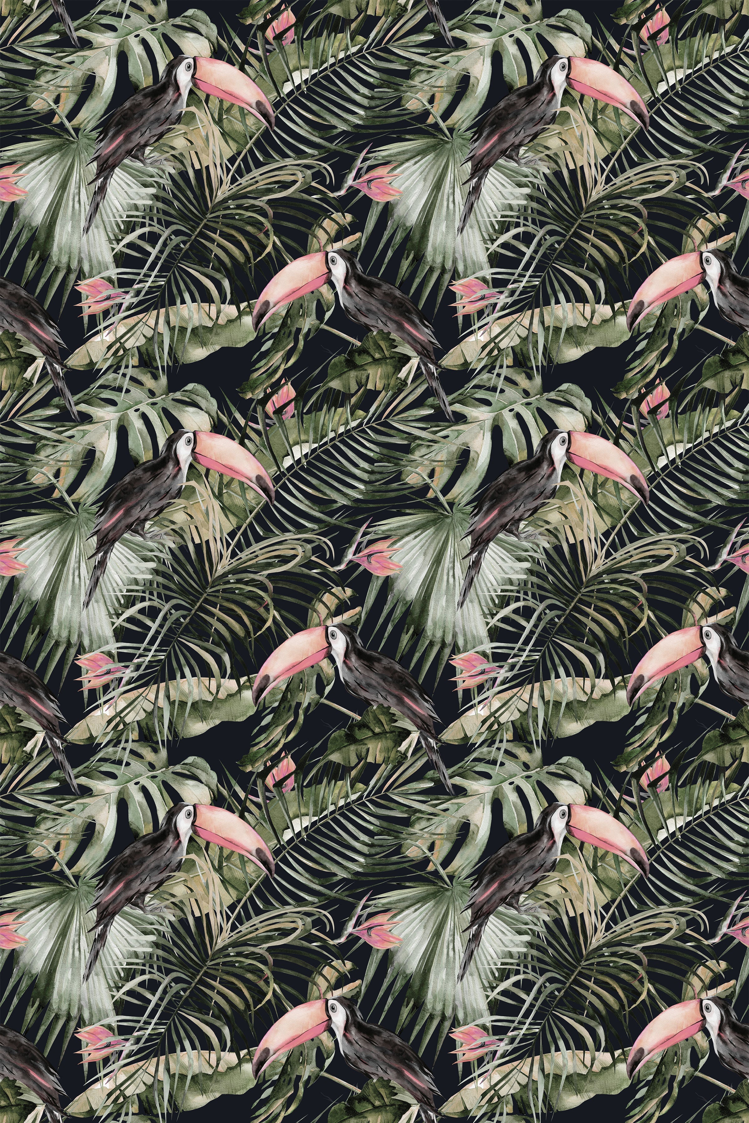 Toucan Tango / Navy