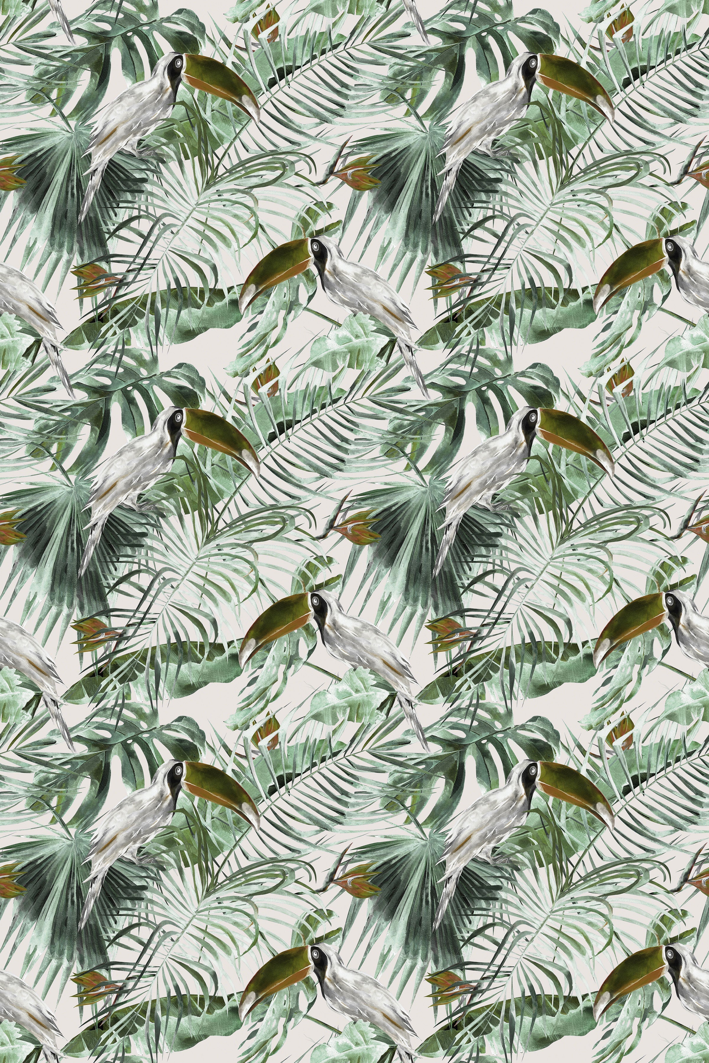 Toucan Tango / Olive