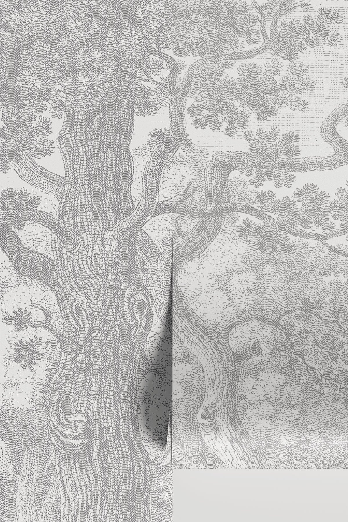 Etched Countryside