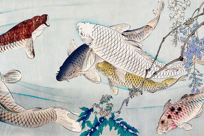 Yoshitoshi Fish Wall Mural