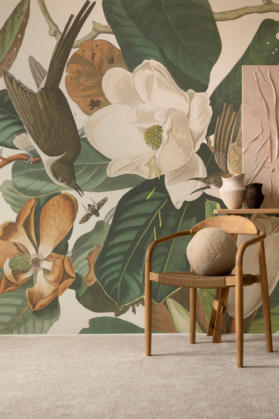 vintage birds of america wallpaper art in a minimal living space