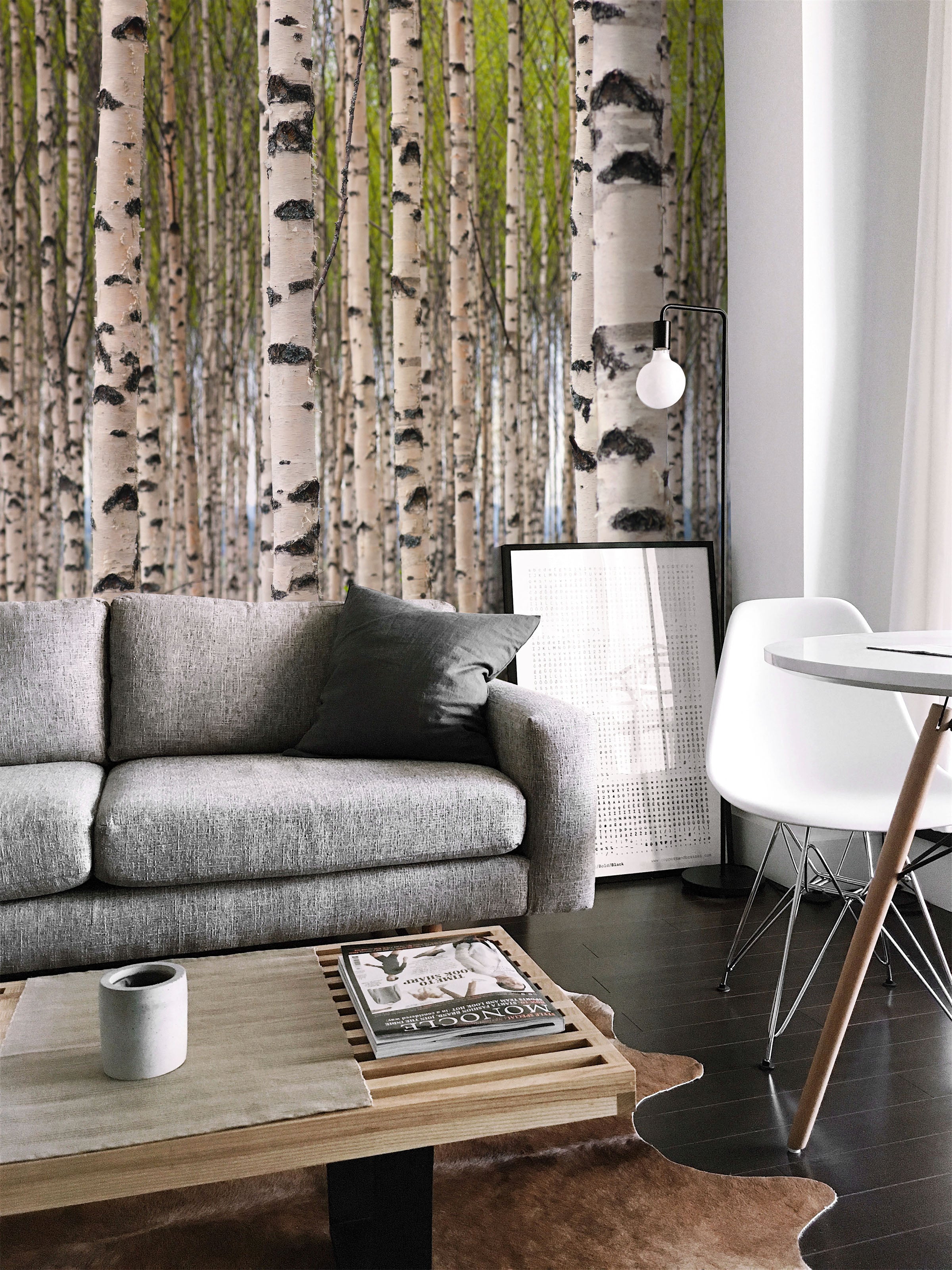 Grove of Birch Trees Wall Mural