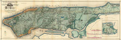1865 New York Map Wall Mural-Wall Mural-Eazywallz