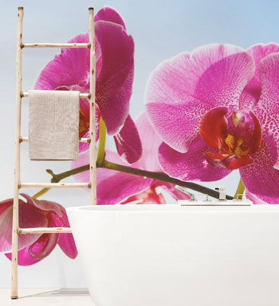 Orchid on a blue sky Wall Mural