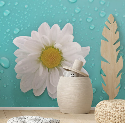 White camomile Wall Mural