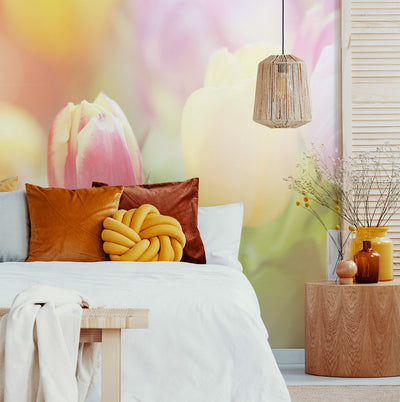Soft Tulips Wall Mural