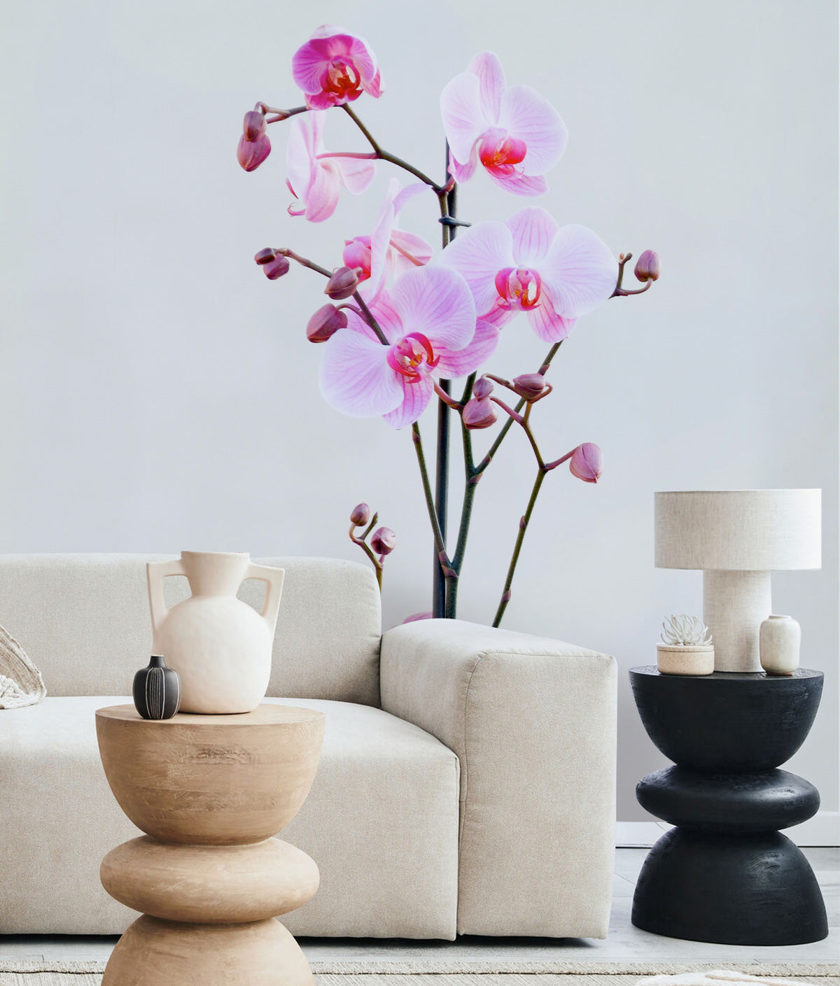 Potted orchid flower Wall Mural