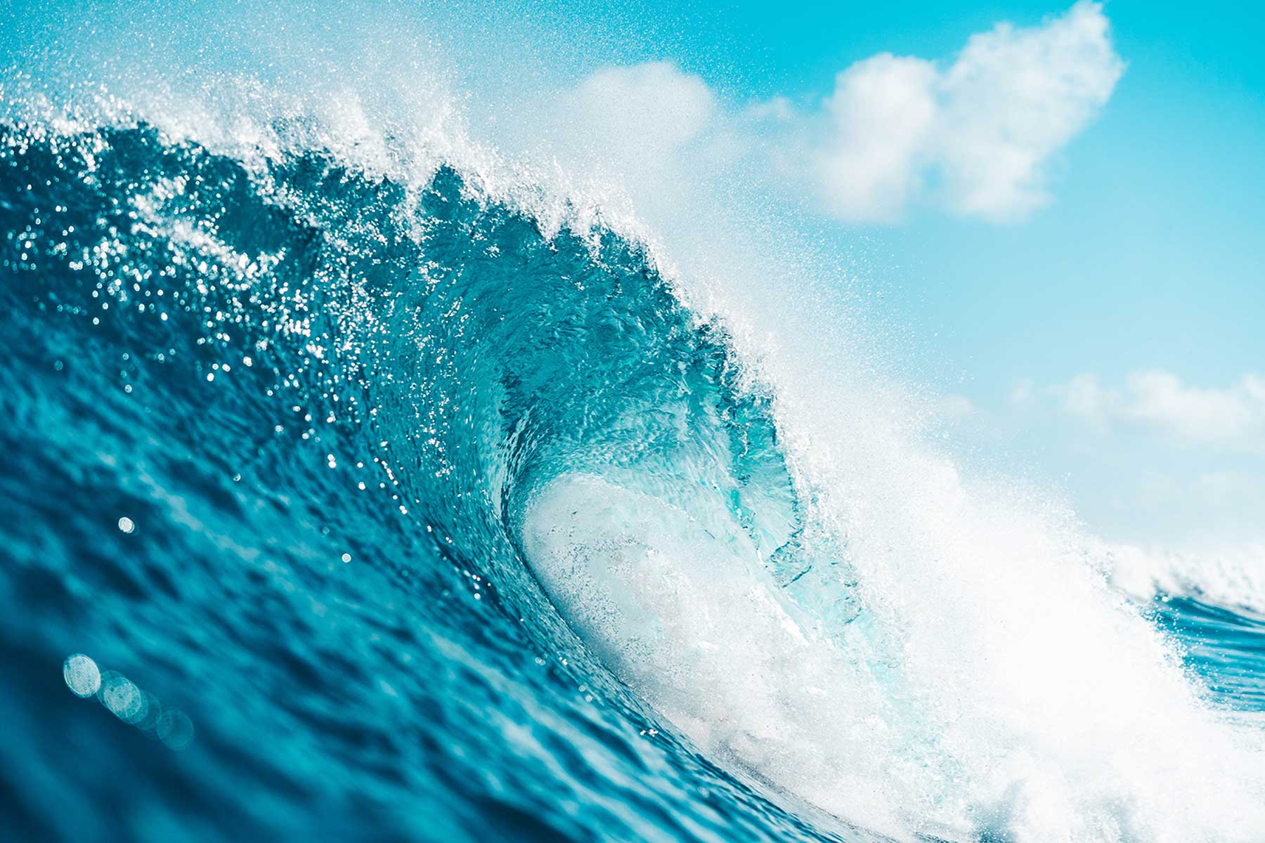 Hawaiian Surf Wave Wall Mural