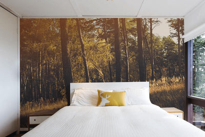 Afternoon Autumn Forest Wall Mural-Wall Mural-Eazywallz