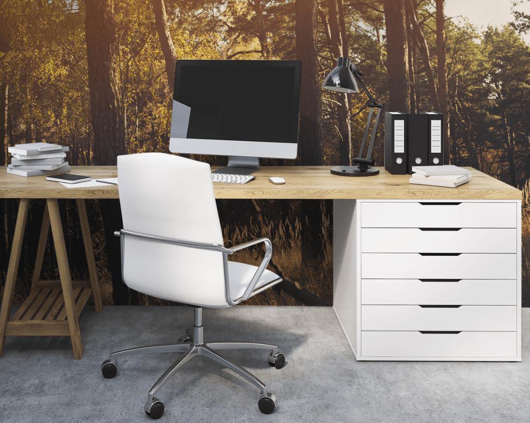 Afternoon Autumn Forest Wall Mural-Wall Mural-Eazywallz