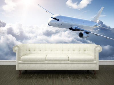 Airplane in the sky Wall Mural-Wall Mural-Eazywallz
