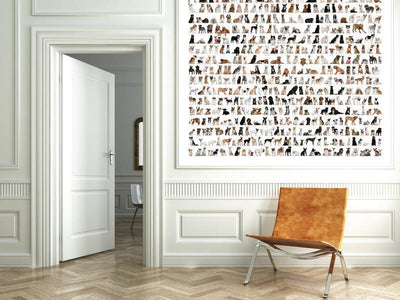 All the dogs and more Wall Mural-Wall Mural-Eazywallz