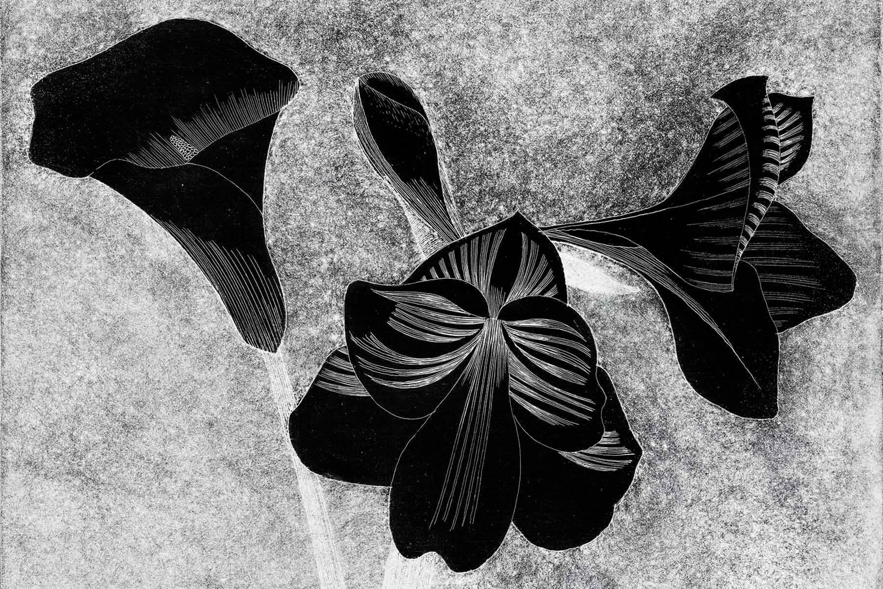 Amaryllis Art Noveau Wall Mural-Wall Mural-Eazywallz