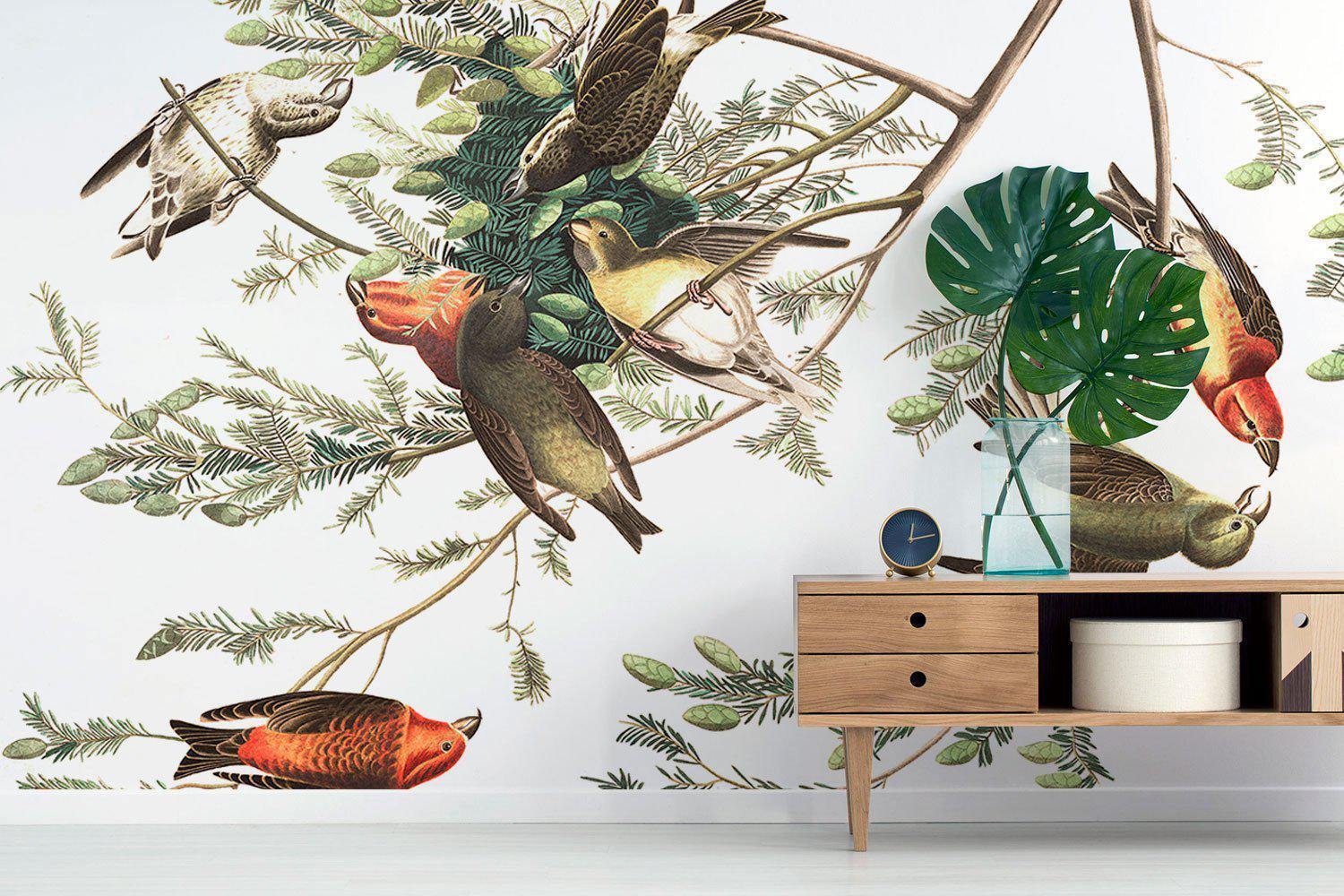 American Crossbill Birds Wall Mural-Wall Mural-Eazywallz