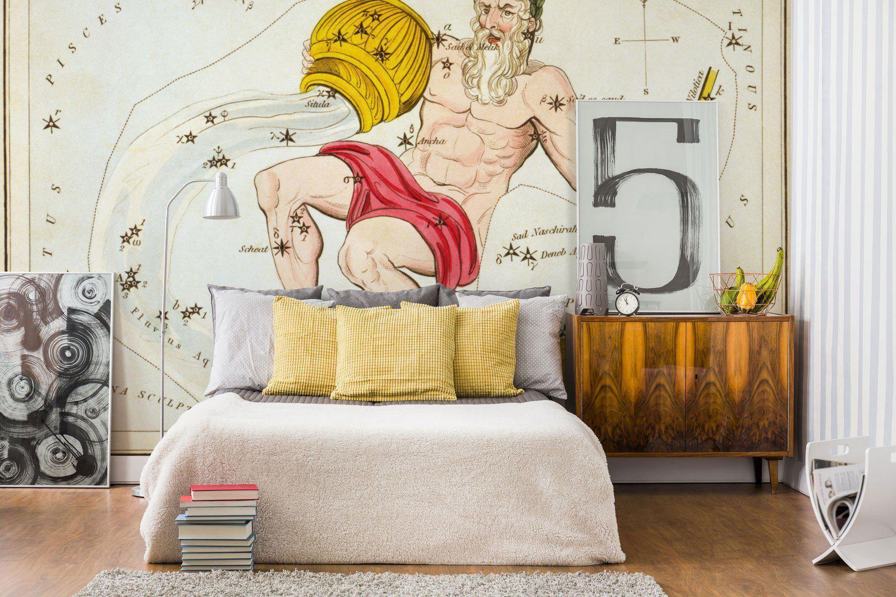 Aquarius Wall Mural-Wall Mural-Eazywallz