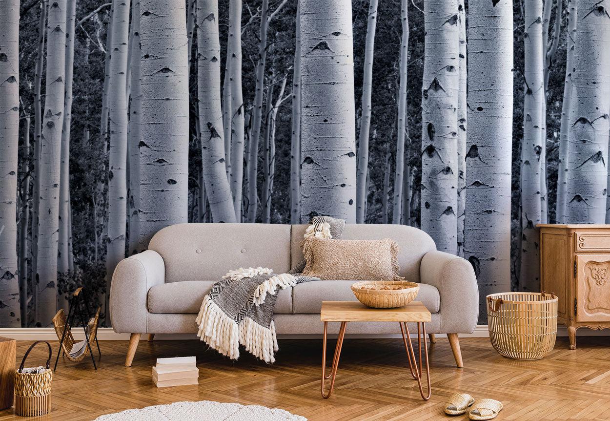 Aspen Birch Forest Wall Mural-Wall Mural-Eazywallz