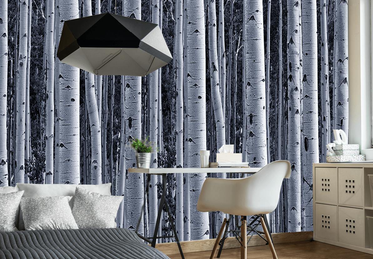 Aspen Birch Forest Wall Mural-Wall Mural-Eazywallz