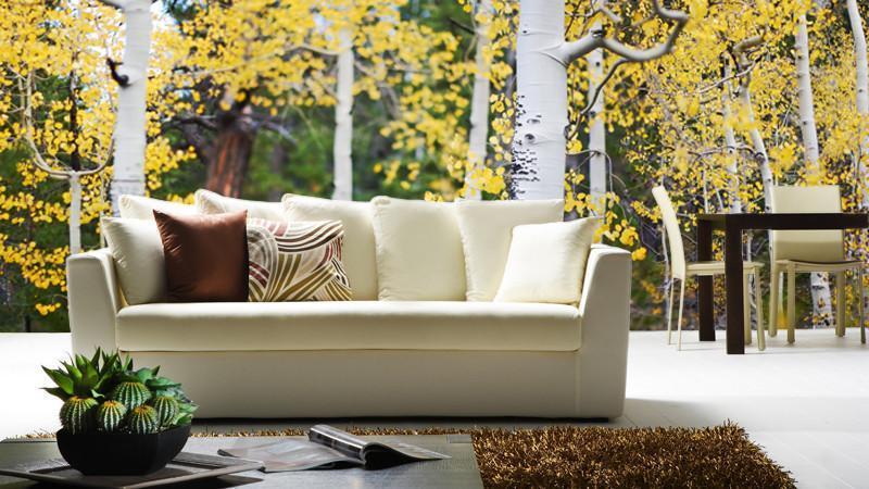 Aspen Trees wall Mural Wall Mural-Wall Mural-Eazywallz