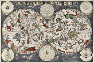 Astrology Planisphere Wall Mural-Wall Mural-Eazywallz
