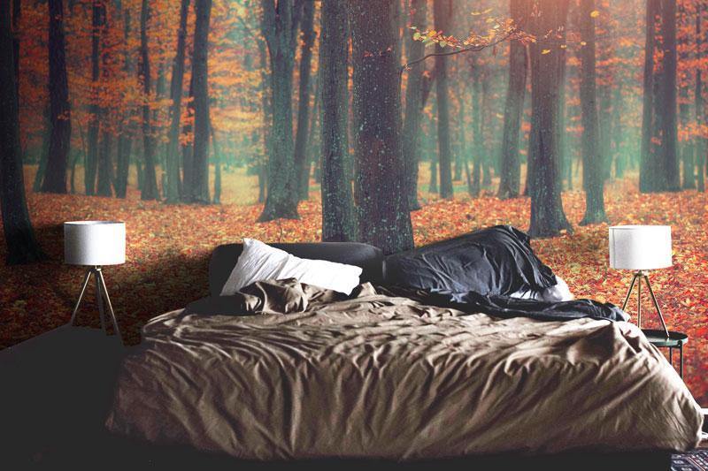 Autumn Forest Landscape Wall Mural-Wall Mural-Eazywallz