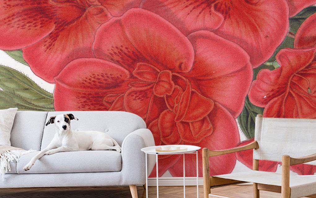 Azalea Indica Mural Wallpaper-Wall Mural-Eazywallz