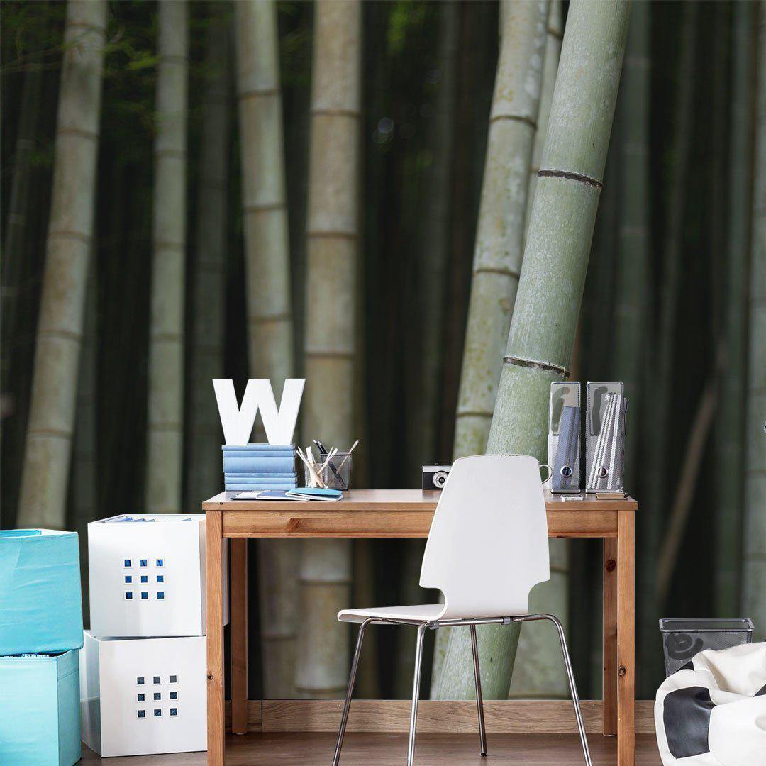 Bamboo Close up wall Mural Wall Mural-Wall Mural-Eazywallz